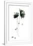 Gramercy White