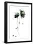 Black Frame