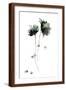 Brown Frame