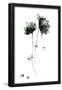Essential Black