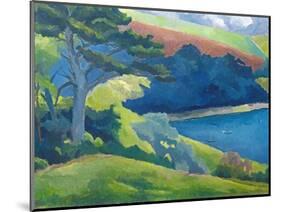 Helford Passage, Cornwall-Cristiana Angelini-Mounted Giclee Print