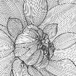 Hand-Drawing Floral Background with Flower Dahlia-Helga Pataki-Art Print