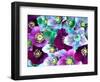 Heliborus Pattern of Winter Blooming Flower, Sammamish, Washington, USA-Darrell Gulin-Framed Photographic Print