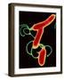 Helicobacter Pylori Bacteria-A.B. Dowsett-Framed Photographic Print