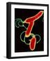 Helicobacter Pylori Bacteria-A.B. Dowsett-Framed Photographic Print