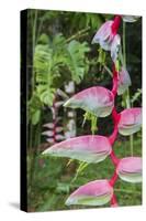 Heliconia, Asa Wright Nature Preserve-Ken Archer-Stretched Canvas