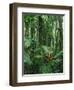 Heliconia flower, Costa Rica-Frans Lemmens-Framed Photographic Print