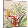 Heliconia Garden-Jacob Q-Mounted Art Print