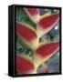 Heliconia, South America-Gavriel Jecan-Framed Stretched Canvas
