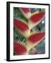 Heliconia, South America-Gavriel Jecan-Framed Photographic Print