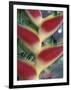 Heliconia, South America-Gavriel Jecan-Framed Photographic Print