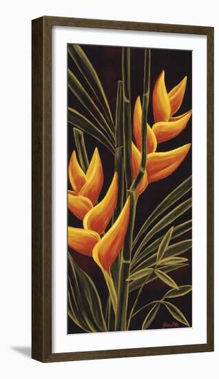 Heliconia-Yvette St^ Amant-Framed Giclee Print