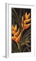 Heliconia-Yvette St^ Amant-Framed Giclee Print