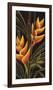 Heliconia-Yvette St^ Amant-Framed Giclee Print