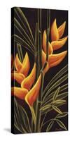 Heliconia-Yvette St.Amant-Stretched Canvas