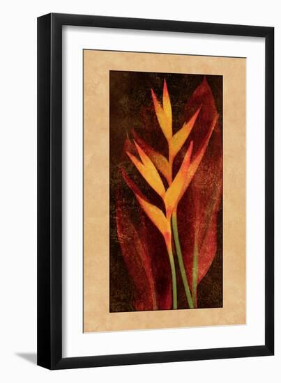 Heliconia-John Seba-Framed Art Print