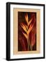 Heliconia-John Seba-Framed Art Print