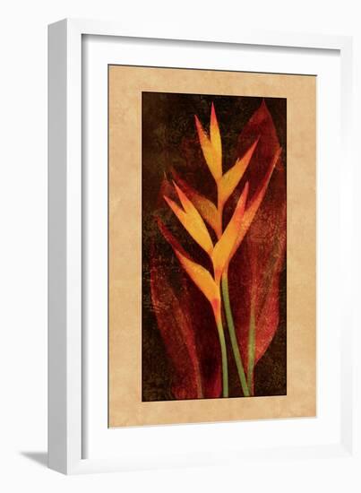 Heliconia-John Seba-Framed Art Print