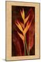 Heliconia-John Seba-Mounted Art Print