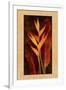 Heliconia-John Seba-Framed Art Print