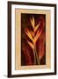 Heliconia-John Seba-Framed Art Print