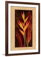 Heliconia-John Seba-Framed Art Print