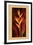 Heliconia-John Seba-Framed Art Print