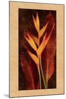 Heliconia-John Seba-Mounted Art Print