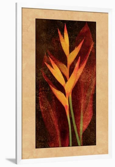 Heliconia-John Seba-Framed Art Print