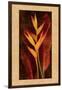 Heliconia-John Seba-Framed Art Print