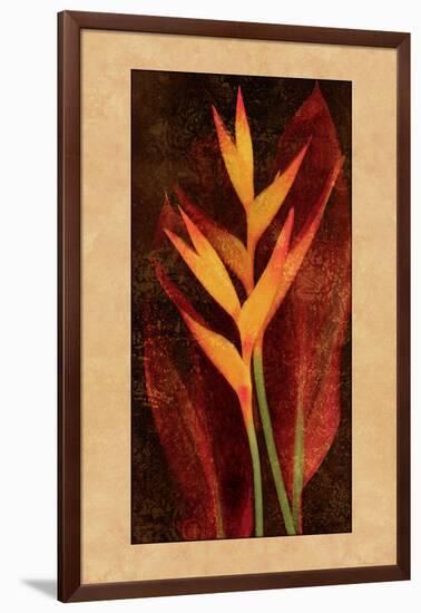 Heliconia-John Seba-Framed Art Print