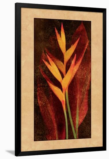 Heliconia-John Seba-Framed Art Print