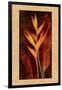 Heliconia-John Seba-Framed Art Print