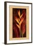 Heliconia-John Seba-Framed Art Print