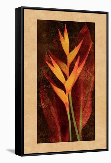 Heliconia-John Seba-Framed Stretched Canvas