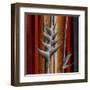 Heliconias and Stripes III-Patricia Pinto-Framed Art Print