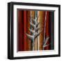 Heliconias and Stripes III-Patricia Pinto-Framed Art Print