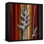 Heliconias and Stripes III-Patricia Pinto-Framed Stretched Canvas