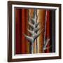 Heliconias and Stripes III-Patricia Pinto-Framed Art Print