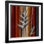 Heliconias and Stripes III-Patricia Pinto-Framed Art Print