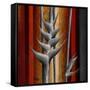 Heliconias and Stripes III-Patricia Pinto-Framed Stretched Canvas