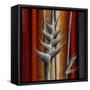 Heliconias and Stripes III-Patricia Pinto-Framed Stretched Canvas