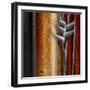 Heliconias and Stripes IV-Patricia Pinto-Framed Art Print