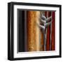 Heliconias and Stripes IV-Patricia Pinto-Framed Art Print