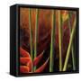 Heliconias En Naranja I-Patricia Pinto-Framed Stretched Canvas