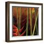 Heliconias En Naranja I-Patricia Pinto-Framed Art Print