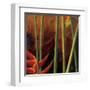 Heliconias En Naranja I-Patricia Pinto-Framed Art Print