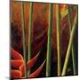 Heliconias En Naranja I-Patricia Pinto-Mounted Art Print