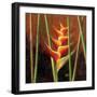 Heliconias En Naranja II-Patricia Pinto-Framed Premium Giclee Print