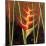 Heliconias En Naranja II-Patricia Pinto-Mounted Premium Giclee Print